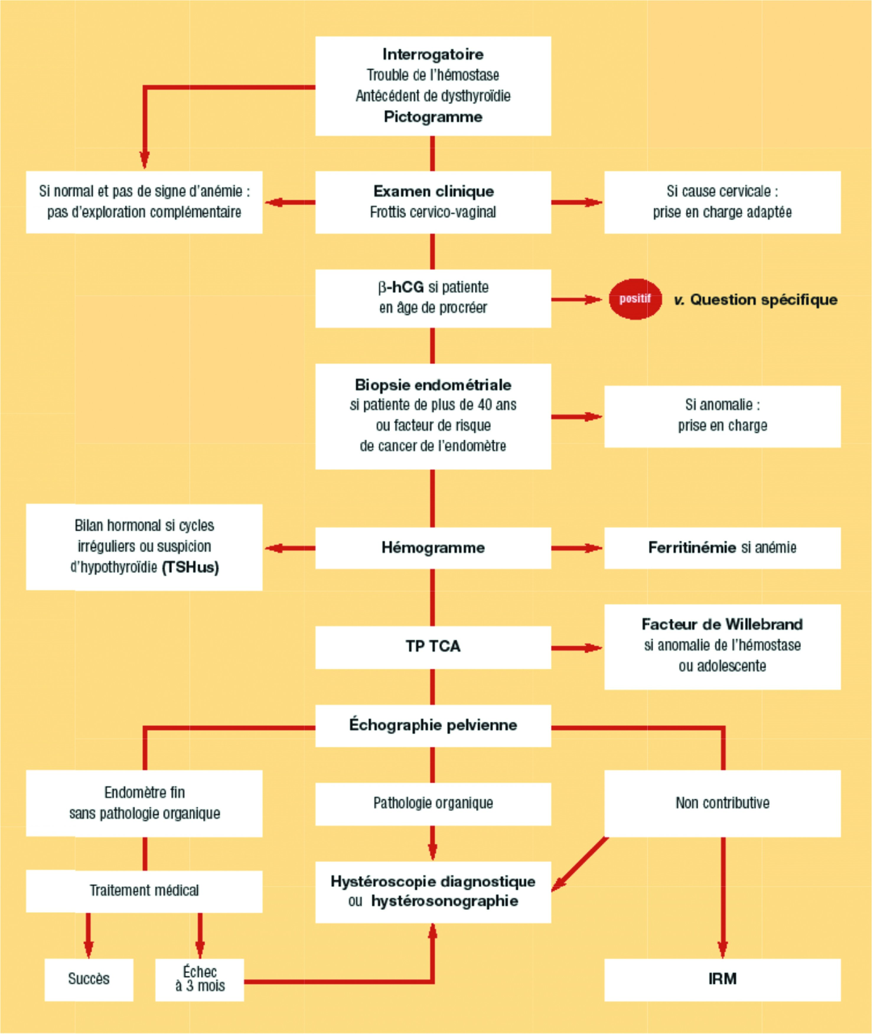 Figure 10.8 Stratégie des investigations devant des ménométrorragies : patiente ménopausée