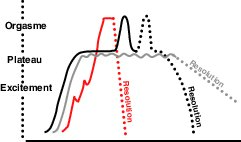 Figure 13.1 Réponses sexuelles de la femme selon le modèle de Masters et Johnson