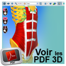 PDF 3D